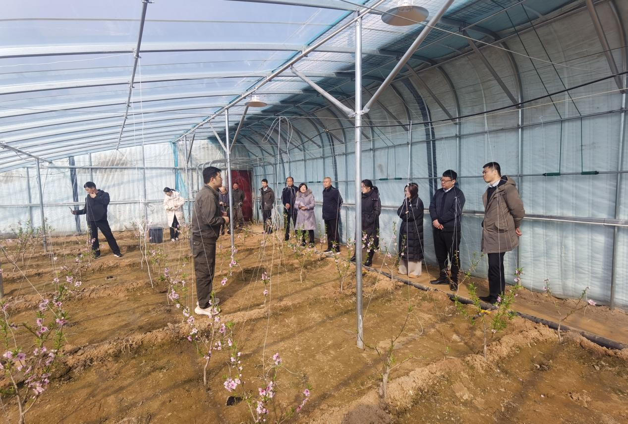 圖片1.png 圖片1.png